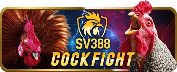 Cá cược bóng đá 23win1
