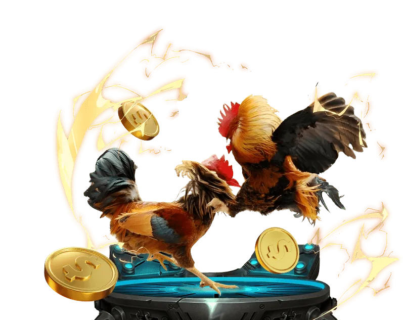 Các định dạng tỷ lệ kèo M88